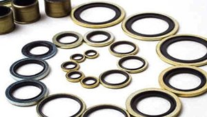 Sealing Washer